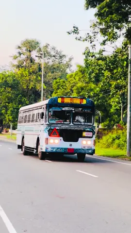 අන්තෝනියට ඇරලා පැය දෙක හමාරේන් පොළොන්නරුවේ එන ගමන් 😌💙@Isira samuditha @Kaduruwela 41 kandy @💗𝓓𝓾𝓵𝓪 𝓑𝓸𝔂 😎 #fyp 