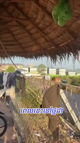 ថ្មដាពោធិ៍សាត់