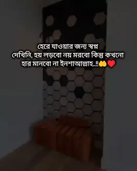 #foryoupage #foryou #tiktok?bangladesh 