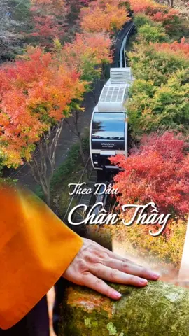 Theo dấu chân Thầy #daolyhay #manquy #phatphap #phatphapnhiemmau 