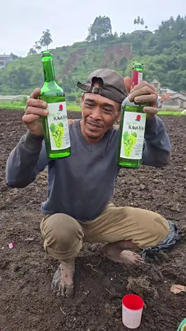 #HTNMANDIRI #SAPIKURBAN #SELEBRITISHTN 