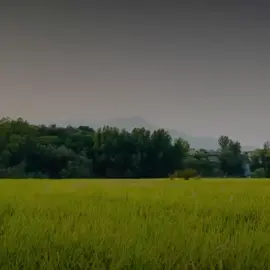 #الولاء_والبراء #التوحيد_حق_اللّٰه_على_العبيد👆 #عاده_نشر_فيديو🔄 