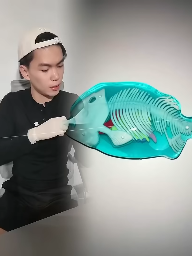 knowing that, getting eyebrow tattoo is more fun #cầubayquan3