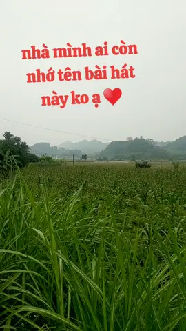 nhà mình ai còn nhớ đc tên bài hát .và cs đang thể hiện bài hát này .chắc cũng lên ông lên bà hết rồi ạ ♥️🌹♥️###