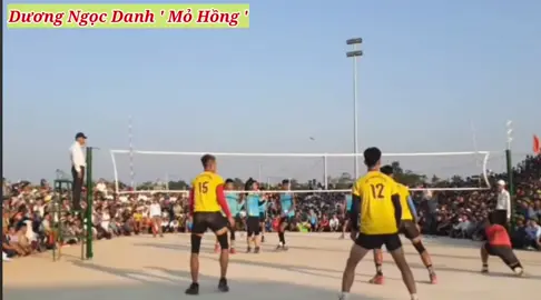 Mỏ Hồng ngày xưa cắt toàn trên chắn anh em ạ sứng đáng làm ông vua hội làng #bongchuyen #bongchuyenvietnam #bongchuyenvadamme #bongchuyenphui #mohong 