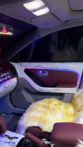 #الحمدلله_دائماً_وابداً #ابوهويشل_الاحيوي999🇾🇪🇸🇩 #احيوات_ولنا_فى_قمة_المجد_رايات✌️🇪🇬 