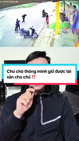 Chú chó thông minh giữ được tài sản cho chủ ‼️#tintuc24h #tinnong #tinnhanh #tiktokviral 