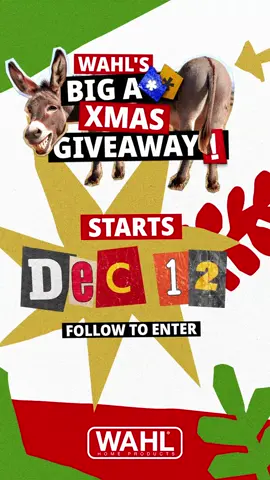 The countdown is on. Wahl’s Big A** Xmas Giveaway kicks off on December 12. 🎁 Seven days. over fifty prize drops. Nearly 7k worth of premium grooming gear up for grabs. Hit follow so you’re locked in when day one drops. 🎄 #xmas #christmas #festive #wahlxmasgiveaway26