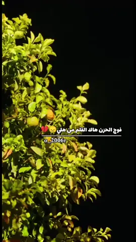 #تصويري_احترافي_الاجواء👌🏻🕊😴 #جنوب_موصل_ناحية_الشورة #الشعب_الصيني_ماله_حل😂😂 