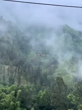 #kerjo #healing #fyp #capcut 