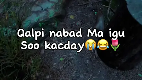 Udir😭😂#jawi_bila🌊❤️🌴jawiga_jawiyada_eryaday🌴❤️#mohamed💦 