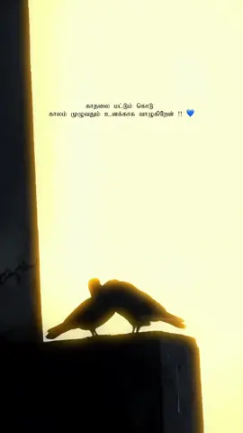 ❤️🥺✨️ @𝙎𝙥𝙖𝙧𝙠 𝙚𝙙𝙞𝙩𝙯 