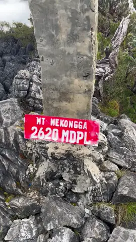 mentahan mu #mekongga2620mdpl 