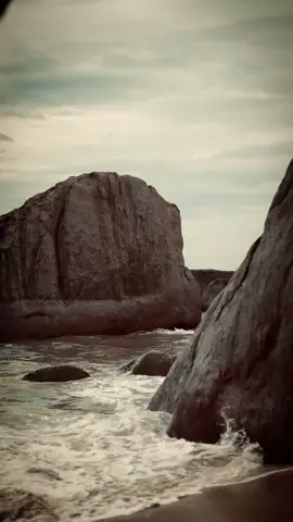 මේක ඔයාට Admin ළමයෝ ❤️‍🩹! #themiii_page #background #backgroundvideo #quotes #foryou 