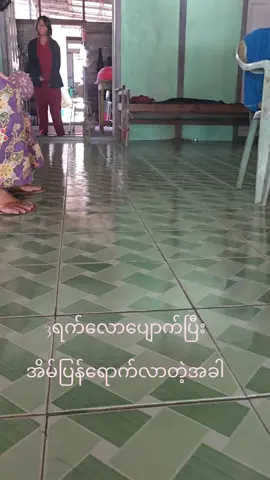 #အိမ်ကကြောင်‌#ချစ်စရာကောင်းတာတစ်ခုပြမယ်🥺🎀 #cat 