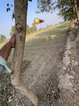 🙂#trandingvideo_viral_video #viralvideosofficial #viralsound #unfrezzmyaccount🥹😓 #viralvideo 