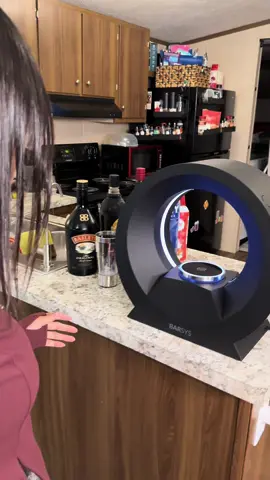 The ultimate bartender #barsys #cocktailmaker #homebar #homebartender #tiktokholidayhaul 