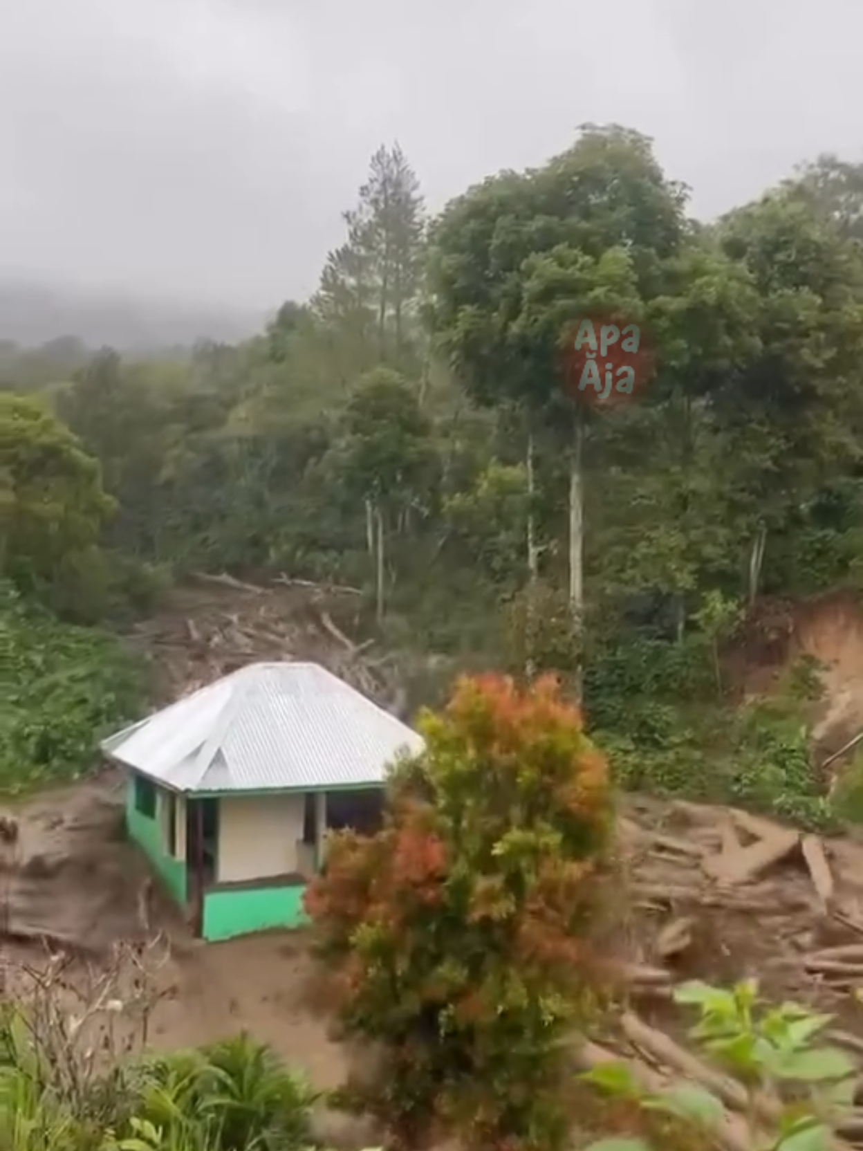 DETIK-DETIK BANJIR BANDANG DI ACEH TENGAH TAKENGON di GAYO REKAMAN VIDEO VIRAL BANJIR MENGHANTAM BAGUNAN RUMAH DENGAN DEBIT AIR TINGGI WARGA PANIK DAN MENYELAMATKAN DIRI #acehtamiang #banjir #sibolga #tapteng #aceh 