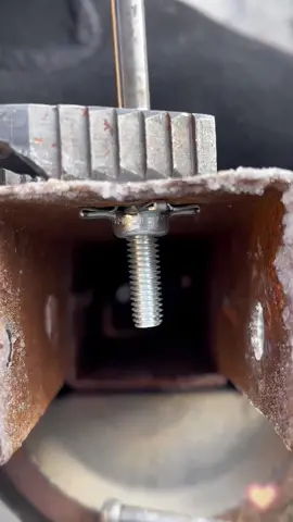 Vít nở cánh hoa #xuhuong 