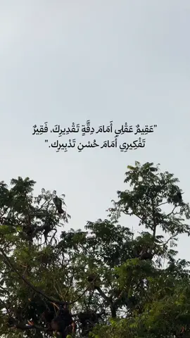 تدبير الله . #الله #تدبير #يامهدي #يا_مهدي  #مهدي                             