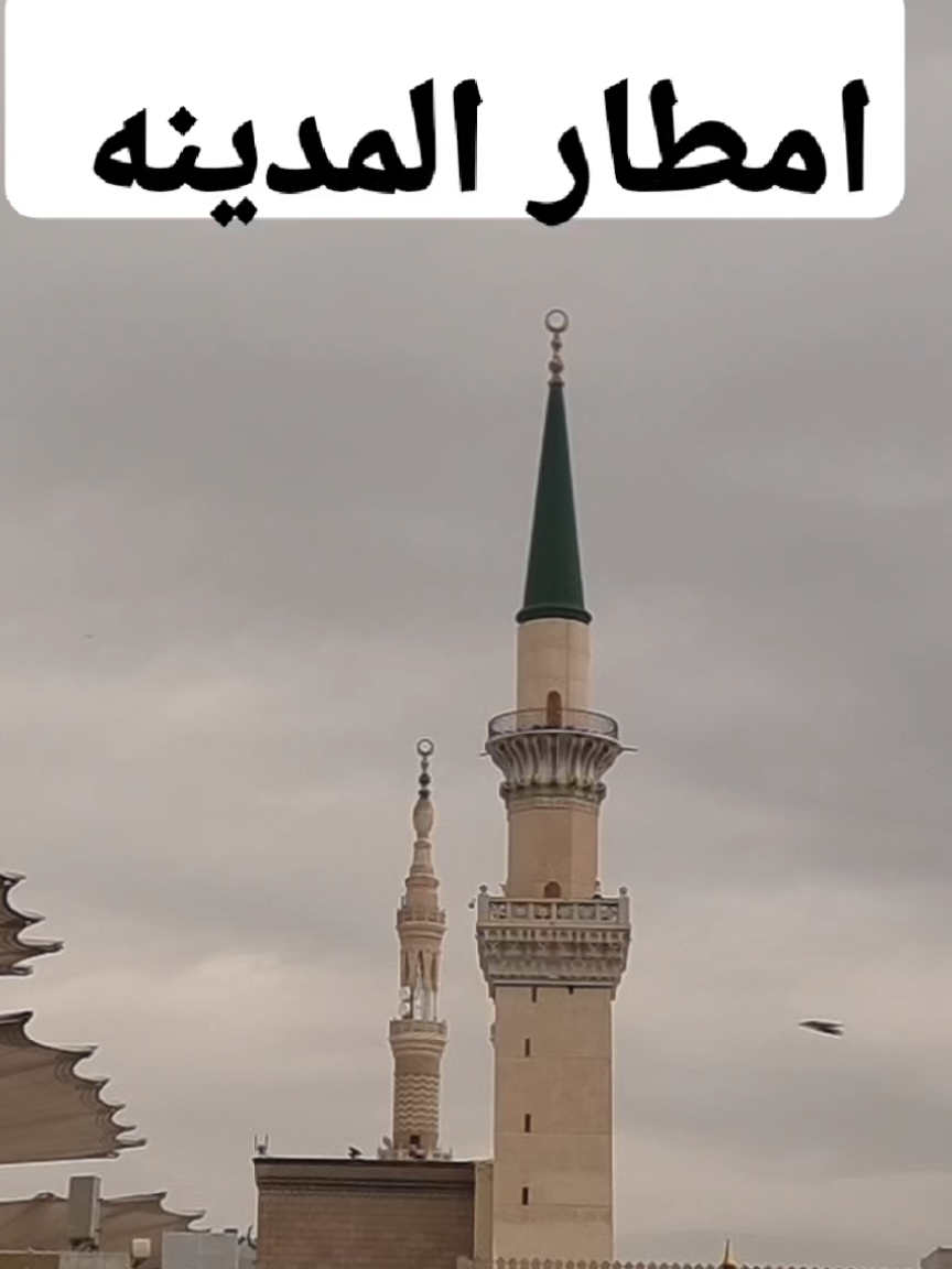 من درس اليوم من المسجد النبوي الشيخ عبدالرزاق البدر حفظه الله امطار المدينه المنوره #امطار_المدينه #امطاراليوم #مطرنا_بفضل_الله_ورحمته #صباح_الخير تصوير المطر المدينة 