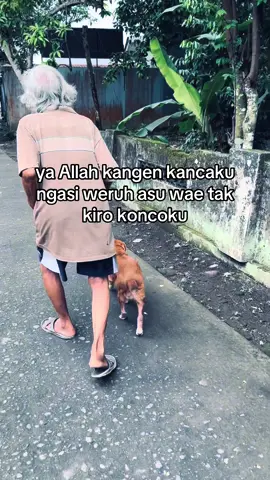 tag koncomu seng koyo kui#fyp #jogja24jam #gondesjogja #gondes #rojaliliar👹 