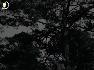 Thử ngã một lần mà coi... #underdawg✓ #underdawgvietnam 