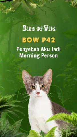 Alarm? Nggak perlu. Sarapan BOW P42 udah cukup bikin semangat pagi! Good morning, hooman 🐾