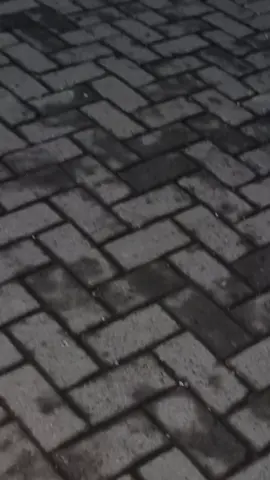 Semangat Terusss 💪💪💪💪 Jangan Lupa Mampir Ke Toko Keramik Randegansari ( BABABA ) Jl. Raya Randegansari No. 21 #keramikgresik #keramiksurabaya #BazarBahanBangunan #fyp #CapCut 