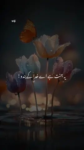 #جنت میں اللہ کا دیدار ایک عظیم نعمت ہے جو جنتیوں کو ملے گا، خاص طور پر اللہ کے مقرب بندے صبح و شام دیدار کریں گے، عام جنتی ہر جمعے کو دیدار سے مشرف ہوں گے، یہ دیدار حسبِ مراتب ہوگا اور یہ احادیث میں وارد ہے کہ اعلیٰ مقام والے لوگ بار بار رب کا چہرہ دیکھیں گے.  حدیث کے اہم نکات: مقام اور مرتبہ: جنتیوں میں سے جو اللہ کے سب سے زیادہ مقرب ہوں گے، انہیں صبح و شام (دن میں دو بار) اللہ کا دیدار نصیب ہوگا، جیسے سنن ترمذی میں ہے. عام جنتی: عام جنتی ہر جمعے کو اللہ کا دیدار کریں گے، یہ فیض عام ہوگا. دیدار کی کیفیت: یہ دیدار اللہ کے چہرے کا ہوگا، جو سب سے بڑی عزت ہے، اور یہ جنت میں ملے گا. حدیث کی سند: اس کا ذکر سنن ترمذی اور فتح الباری جیسی کتب میں ملتا ہے.  خلاصہ: جنت میں اللہ کا دیدار ایک یقینی اور عظیم حقیقت ہے جو احادیث سے ثابت ہے، اور اس کا وقت اور تکرار ہر شخص کے مرتبے کے مطابق مختلف ہوگا، جس میں اعلیٰ مقام والے صبح و شام اور عام جنتی ہر جمعے کو دیدار سے مشرف ہوں گے#صہیب رضی اللہ عنہ سے روایت ہے کہ اللہ کے نبی ﷺ نے فرمایا : 