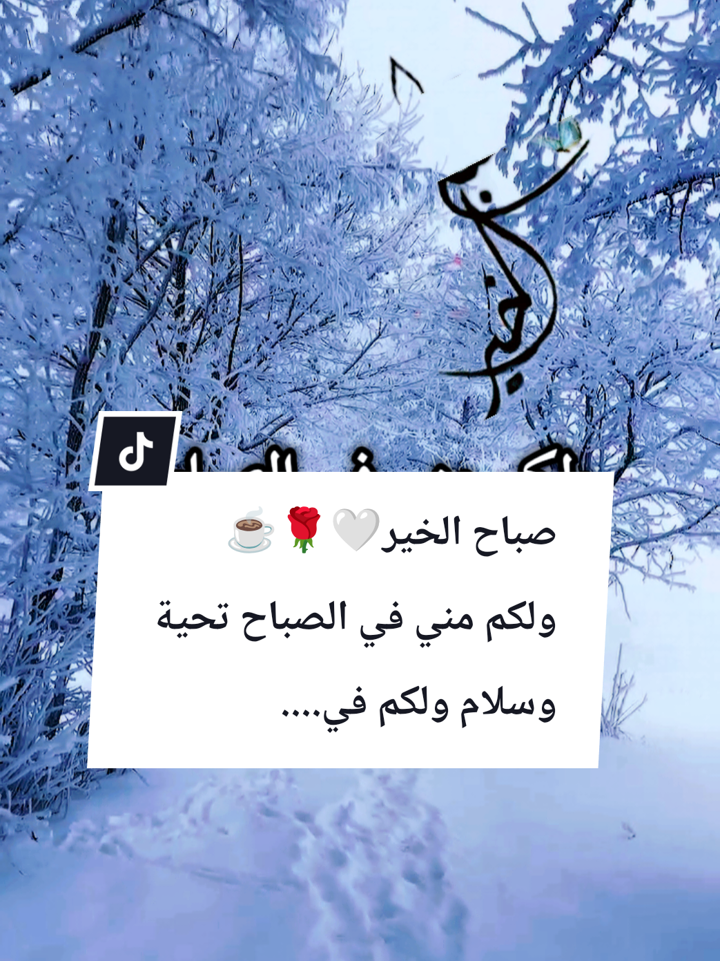 #souzan396 #صباح_الخير  صباح الخير🤍🌹☕ولكم مني في الصباح تحية وسلام....