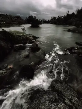 “仙人掌也会感到疼痛……尽管大家都认为它习惯了干燥的环境。” 