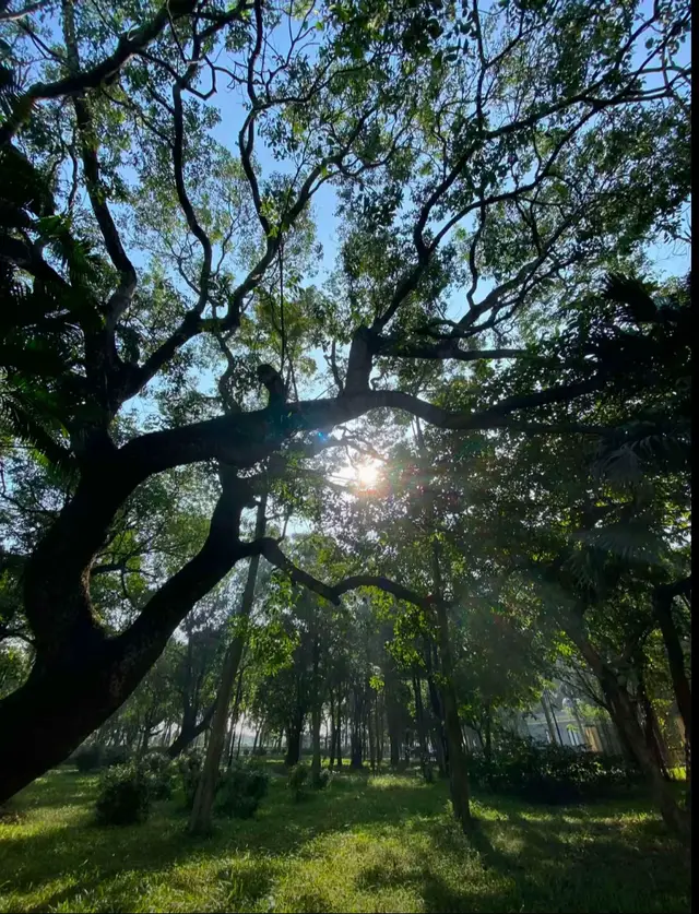 #fyp #xuhuongtiktok #ilovetiktok 