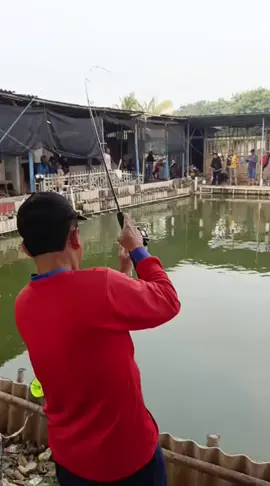 Event full gurame 07.12.25 Mantaaaapp #pemancingankcm #masukberanda #fypage #fyp #fyppppppppppppppppppppppp 