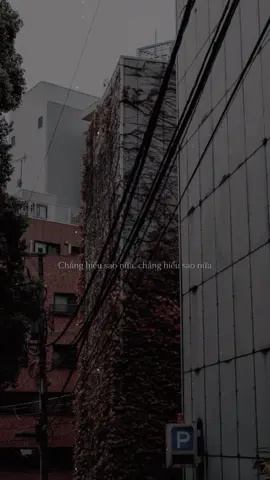 Ỏooooo #capcut #capcutpioneer #pioneertemplate