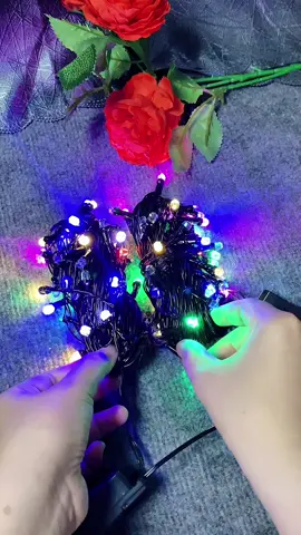 Trang trí từ ngõ vào nhà 🏠 #denchopnhay #dentrangtritet #tet2026 #review #xuhuong 