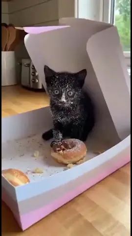 #974🇷🇪 #974🇷🇪🇷🇪 #cosement974🇷🇪 