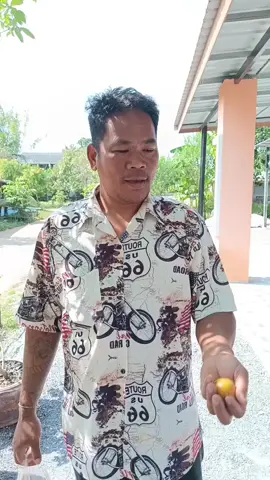 แม่นเหมือนจับวาง