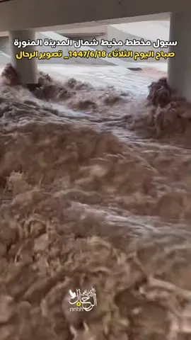 سيول #المدينة_المنورة 