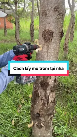 Đay là cách để mũ trôm chảy ra#mutromphanrang #xuhuongtiktok 