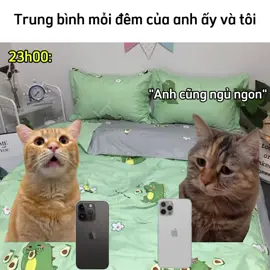 Trung bình mấy bà bánh bèo :)) đúng nhận sai cãi nha #meme #catdog #haihuoc #j4f #xh 