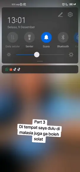 #fyppppppppppppppppppppppppppp #fypシ゚viral🖤tiktok #tiktokpurwodadigrobogan @Salamah mah 
