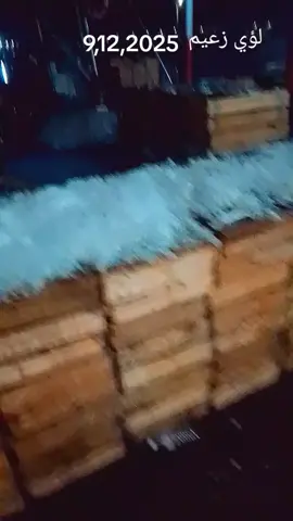 #لؤي زعيم عنابة 