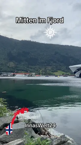 Was ein Blick aufs Schiff 😍🥰🛳️ #kreuzfahrt #msc #cruise #nordfjordeid #norway 