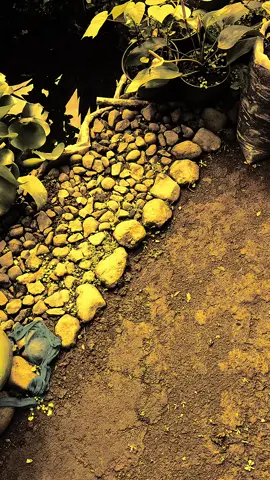 71 hari lagi menuju bulan suci Ramadhan #tinggalkanjejakdikolomkomentar #storyramadhan #ramadhan2026 #fypviralシ #langitaestetik 