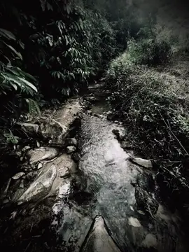 “Dù đã nhiều lần anh cố nói dỗi để em vui…” #nhacbuon #xuhuongtiktok #tamtrang #story #viraltiktok 