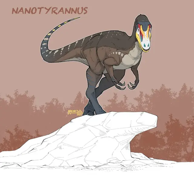 30 TOP ALL THE DINOSAURS @สมองปลา🐟 @อีฟอีฟอีฟ @Viven. @ก้าวไปข้างหน้า💔💔✌✌ @ก็อดจิอยากกินคุณงับ (กลางฟรี) @ต้นงอม @emmy_13m @sukrit lamdee @ℂ𝕙𝕒𝕪𝕒𝕟𝕚𝕟 @egg #dinosaurs #nanotyrannus #ouranosaurus #ceratosaurus #fypシ゚ 