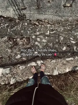 Nguyện vọng cao ko ai bằng🫀#duydung_01 