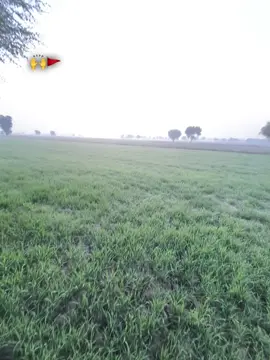 Mujhe duniya dari nhi ati🙌🚩❤️‍🔥 #forming🌾 #کسان #foryoupage #foryoupage 