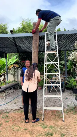 จับไม้ช่วยแน่เฒ่า #คลิปตลก #fannyreels #fanny